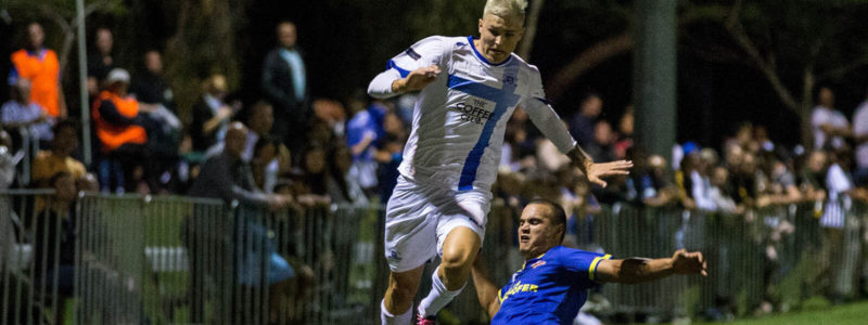 Surfers Paradise Seek To Realise 'Crazy' Westfield FFA Cup Dream - Football  Queensland